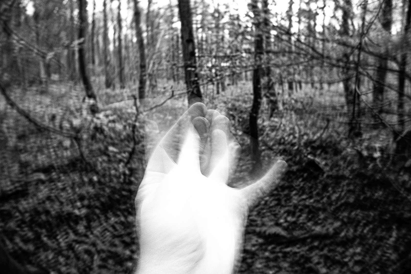 Grid Image: DSC08563