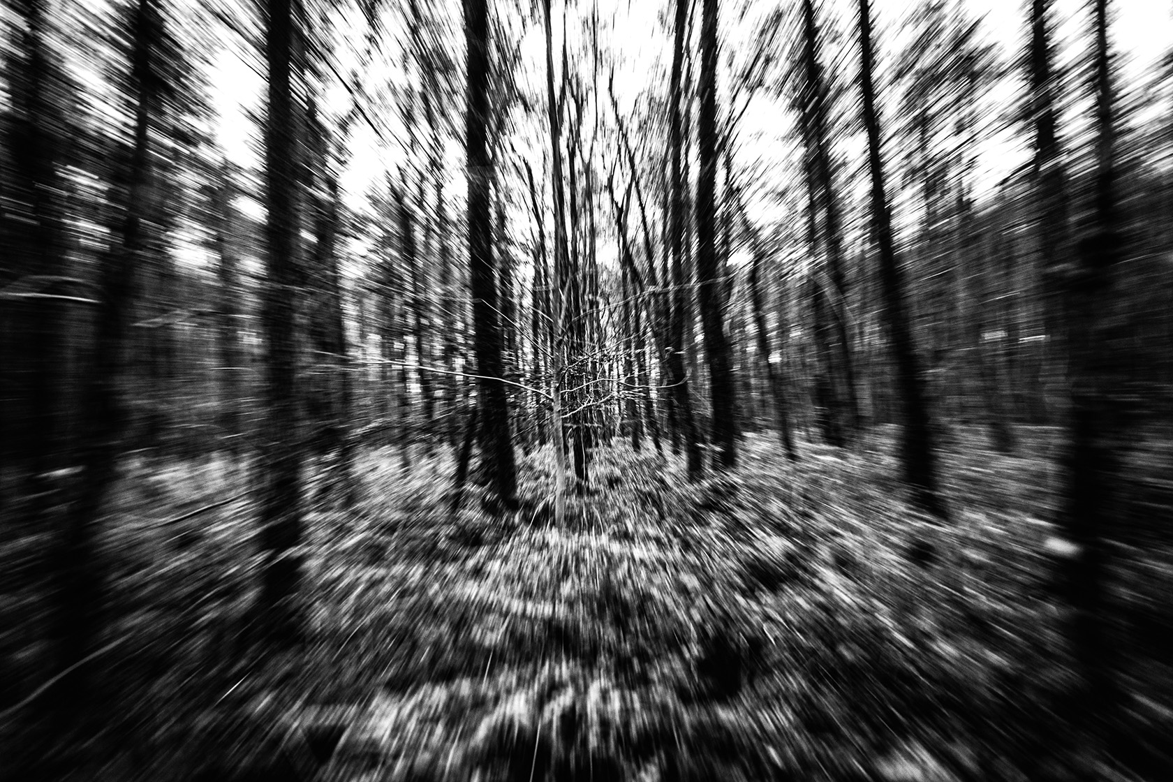 Grid Image: DSC08563