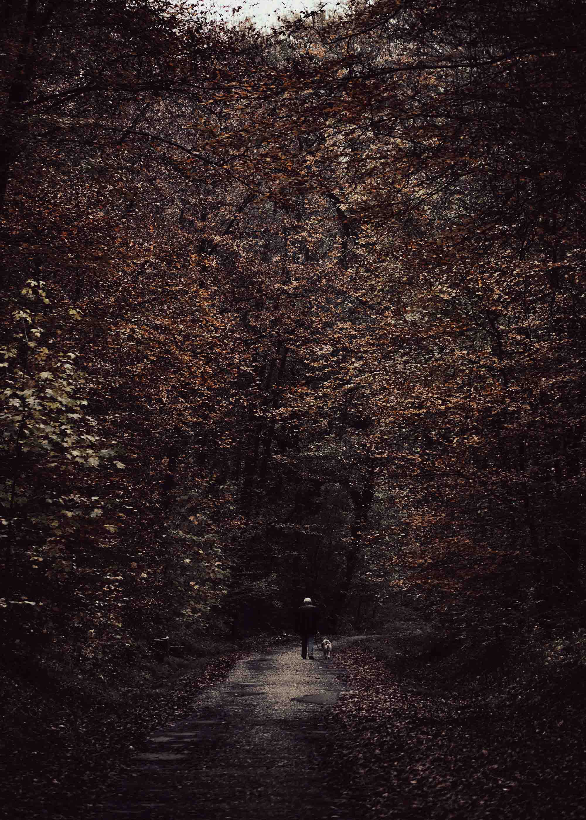 Einsamer Spaziergang