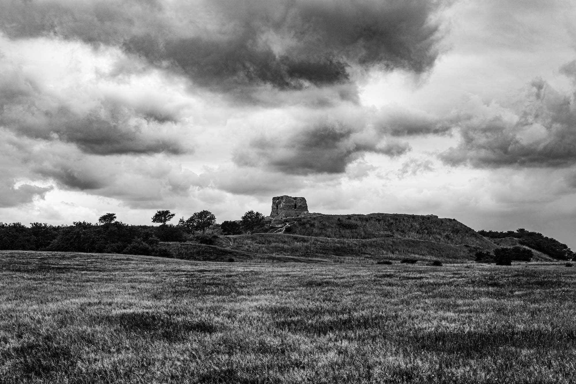 In the Face of the Storm