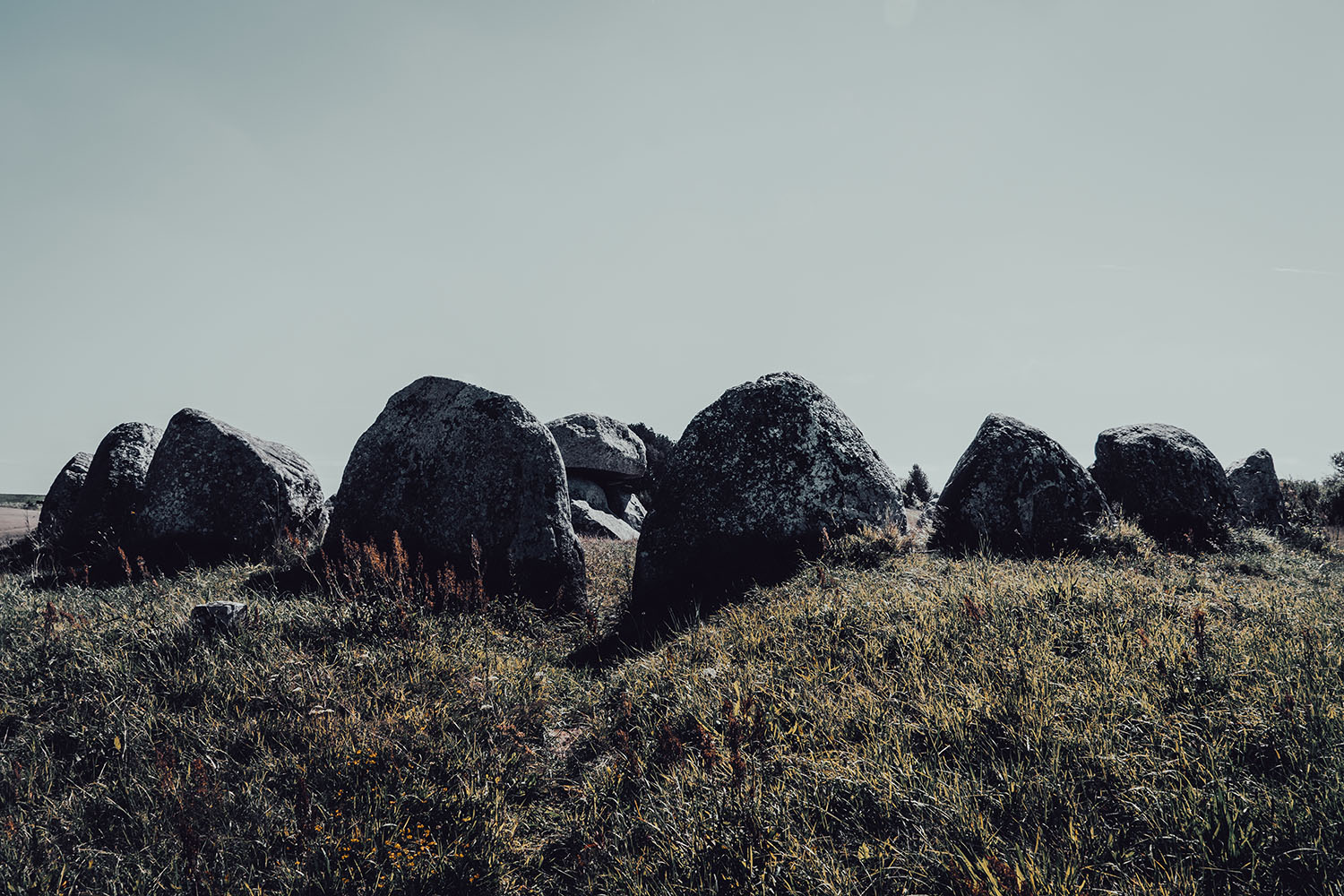 Grid Image: DSC08535