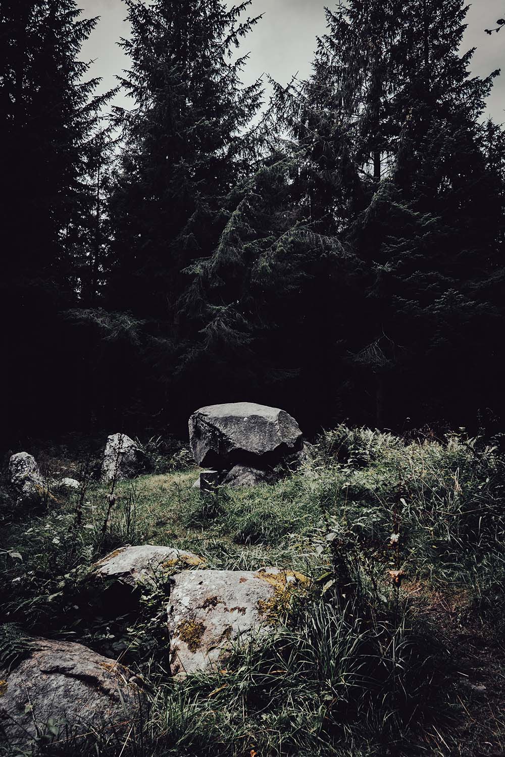 Grid Image: DSC08544