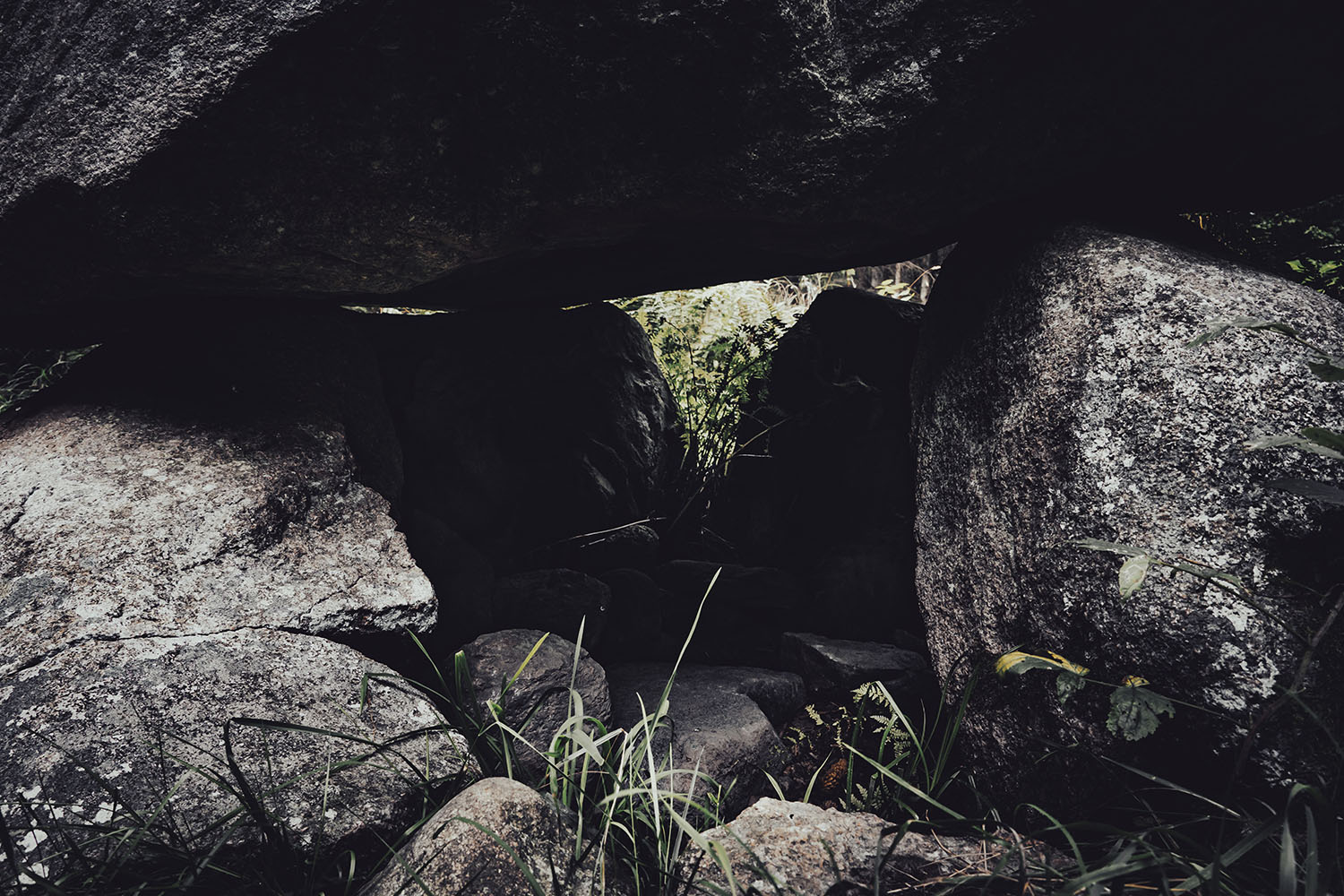 Grid Image: DSC08552