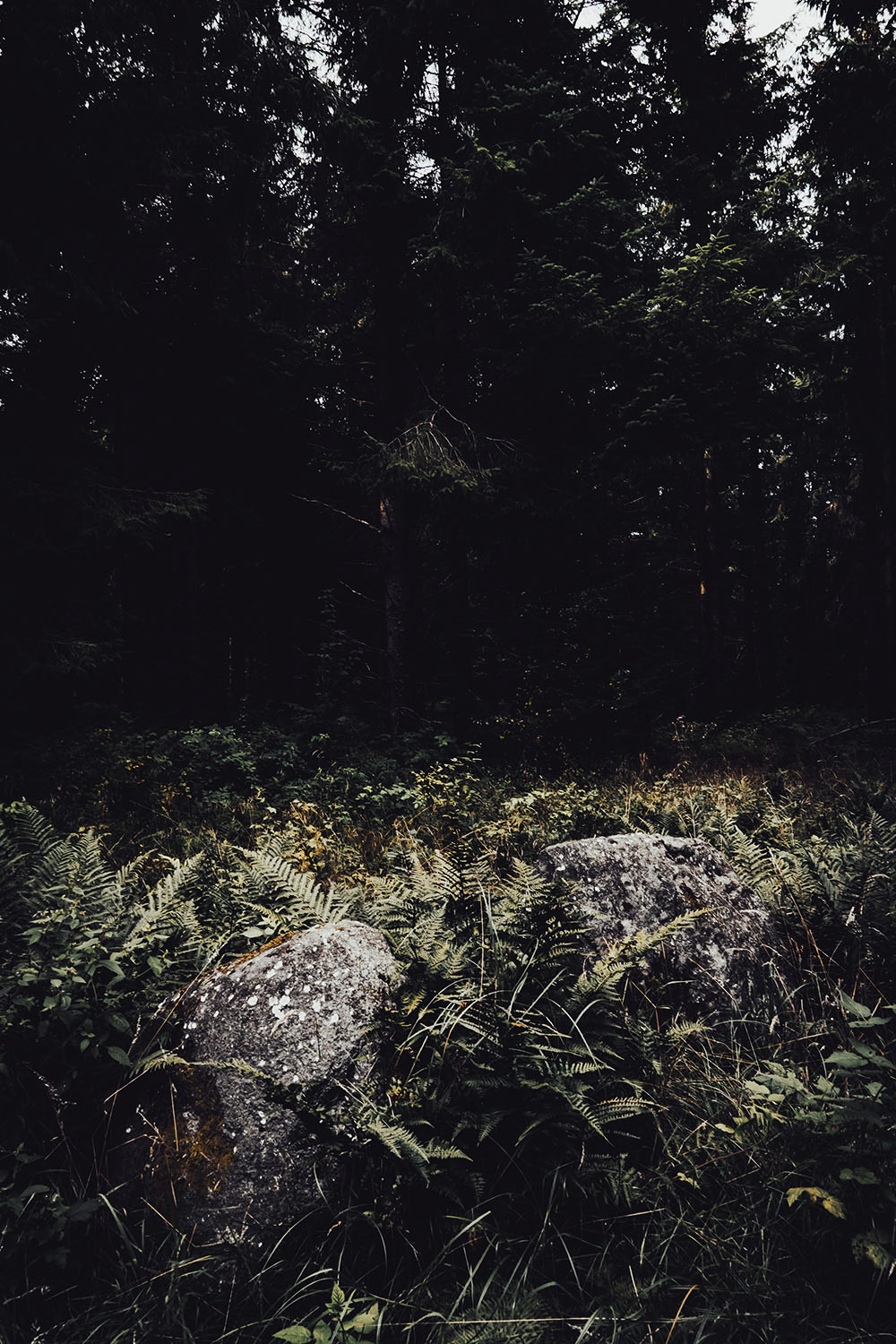 Grid Image: DSC08575