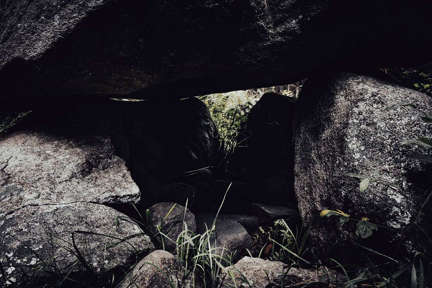 Grid Image: DSC08552