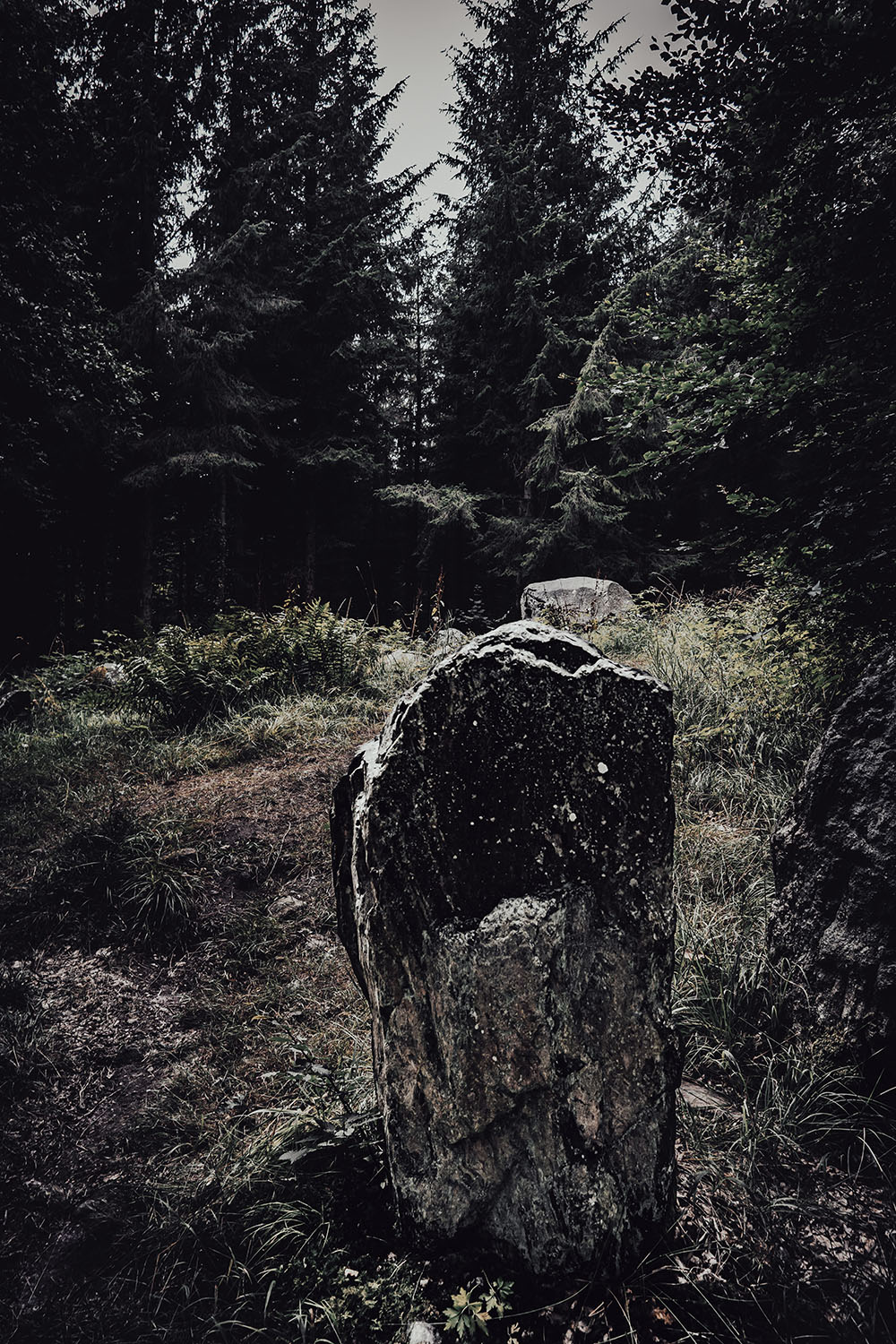 Grid Image: DSC08553