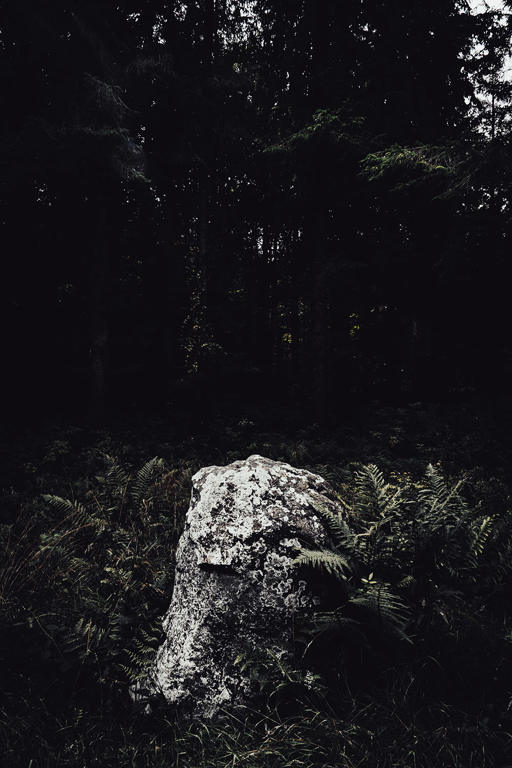 Grid Image: DSC08563