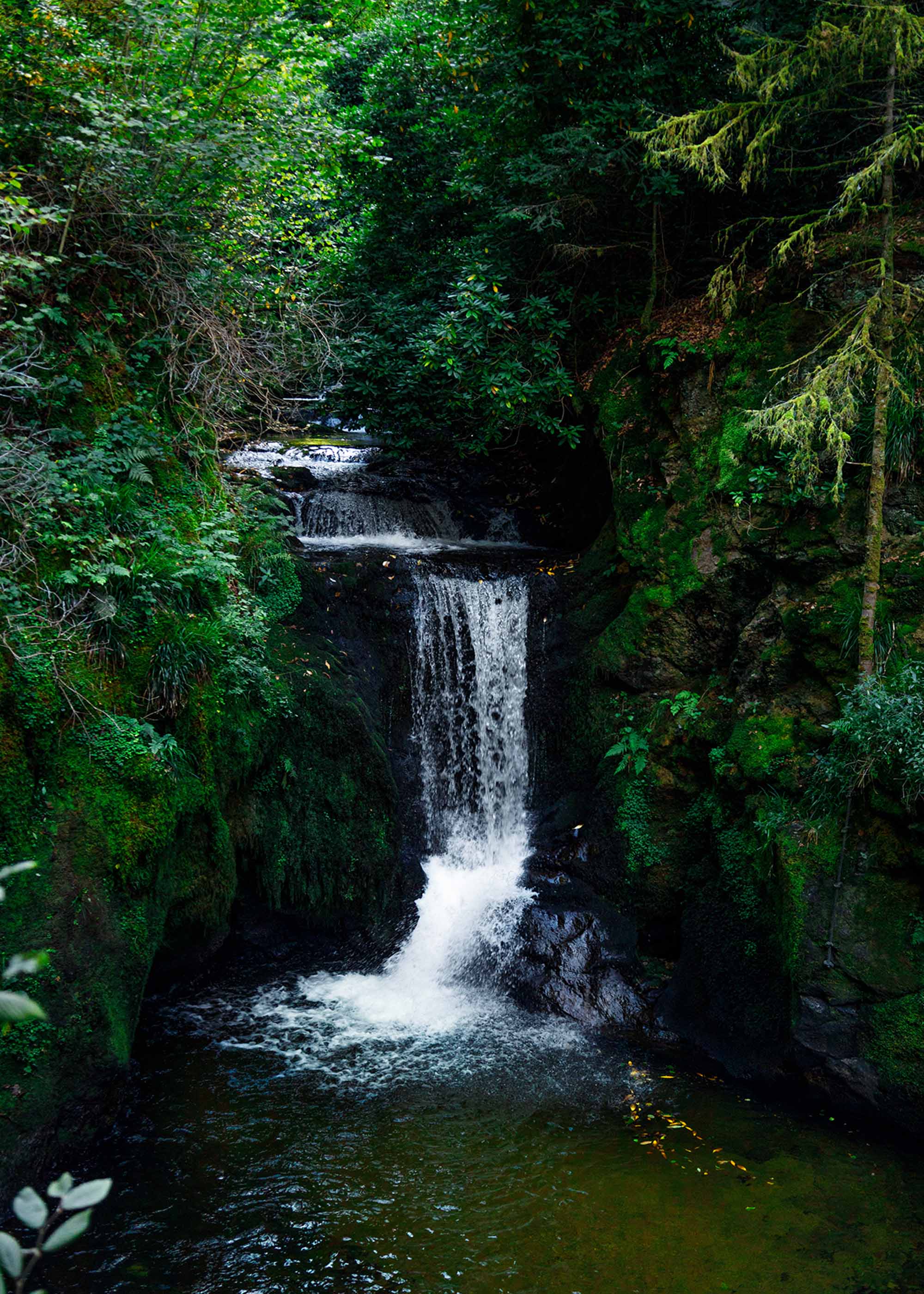waterfall-germany (Portrait)